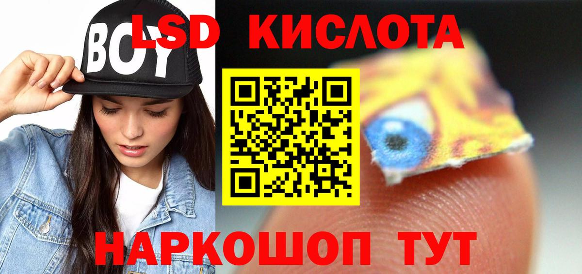 МЕФ Петровск