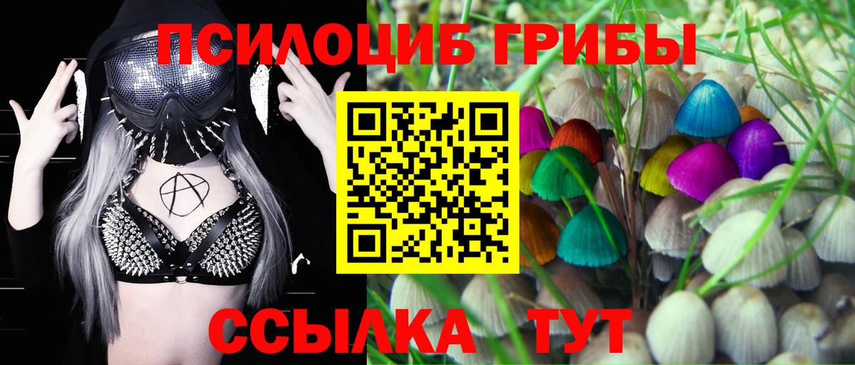 Псилоцибиновые грибы ЛСД  Псилоцибиновые грибы Psilocybe  Вход с VPN  Петровск 